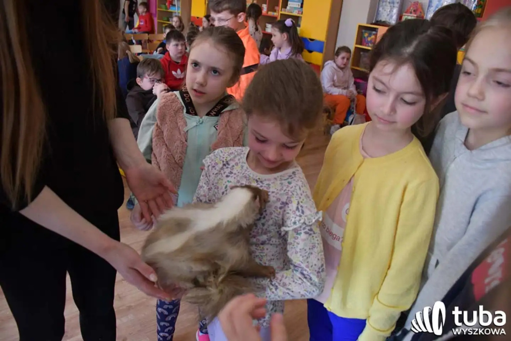 Bliskie spotkanie z dzikimi zwierzętami (VIDEO)