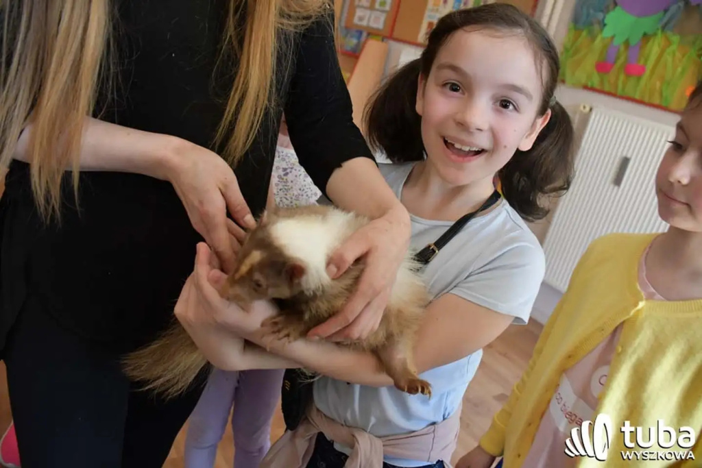 Bliskie spotkanie z dzikimi zwierzętami (VIDEO)