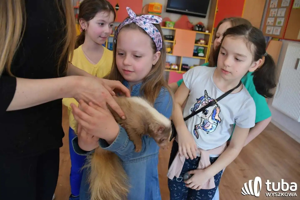 Bliskie spotkanie z dzikimi zwierzętami (VIDEO)