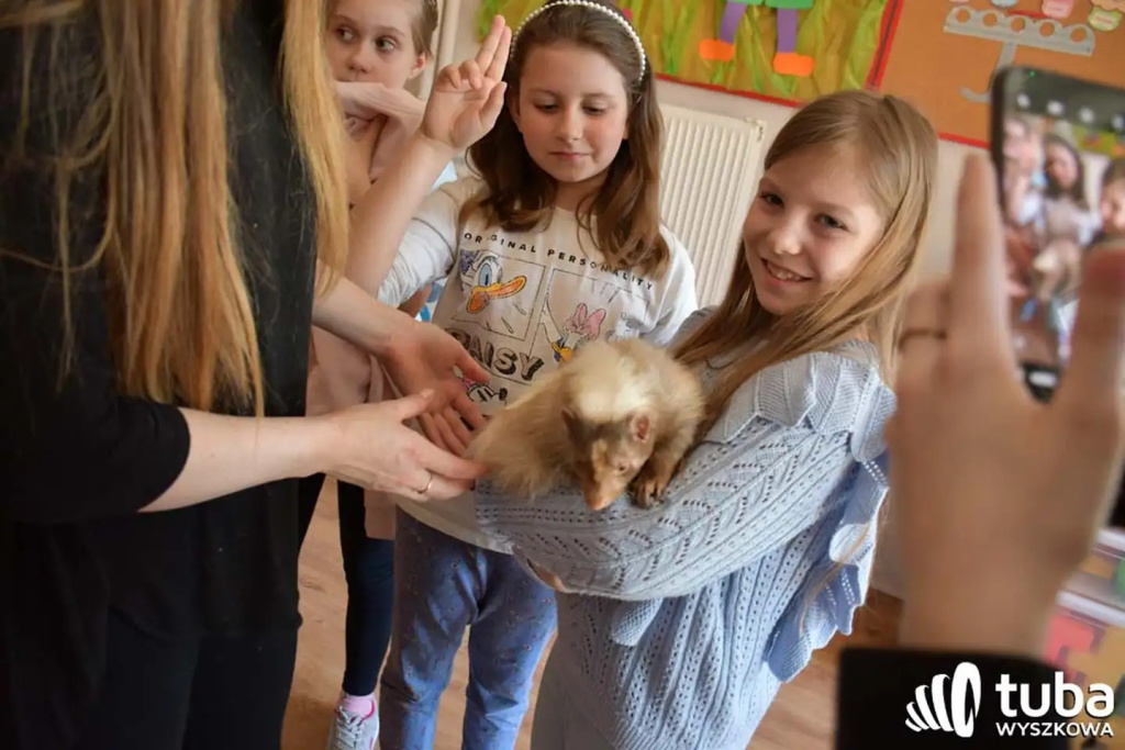 Bliskie spotkanie z dzikimi zwierzętami (VIDEO)