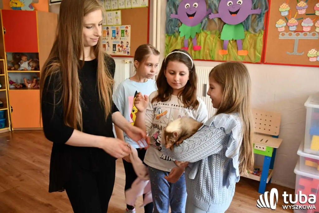 Bliskie spotkanie z dzikimi zwierzętami (VIDEO)