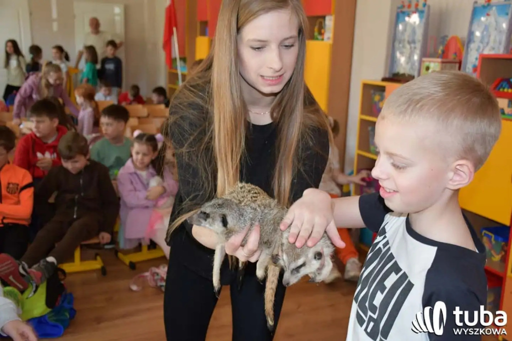 Bliskie spotkanie z dzikimi zwierzętami (VIDEO)