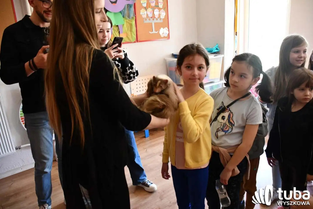 Bliskie spotkanie z dzikimi zwierzętami (VIDEO)