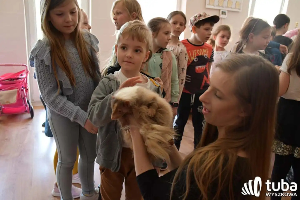 Bliskie spotkanie z dzikimi zwierzętami (VIDEO)
