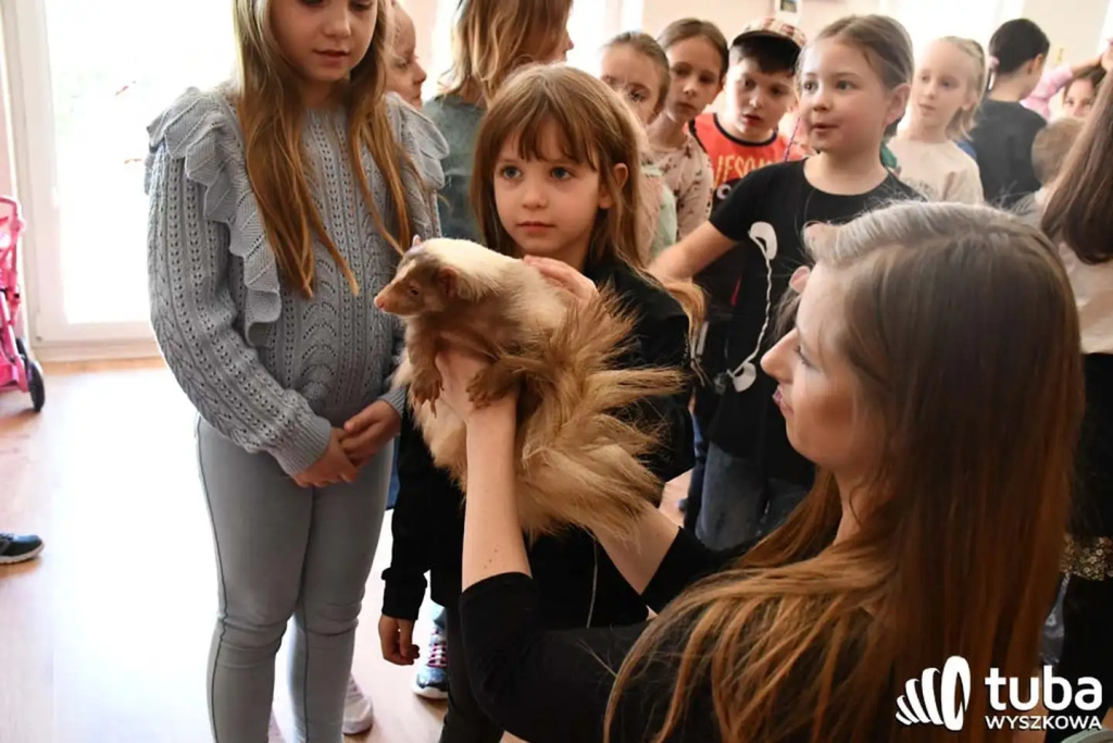 Bliskie spotkanie z dzikimi zwierzętami (VIDEO)