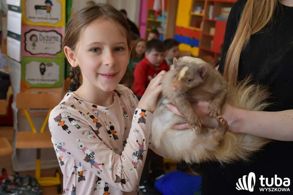 Bliskie spotkanie z dzikimi zwierzętami (VIDEO)