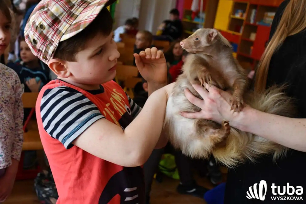 Bliskie spotkanie z dzikimi zwierzętami (VIDEO)