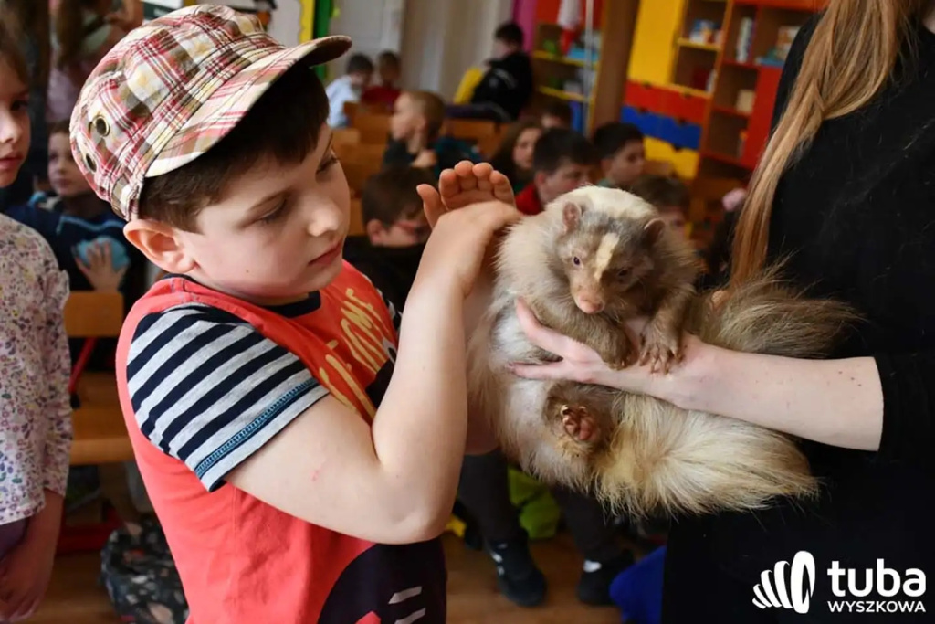 Bliskie spotkanie z dzikimi zwierzętami (VIDEO)