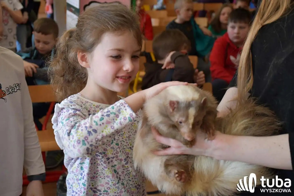 Bliskie spotkanie z dzikimi zwierzętami (VIDEO)