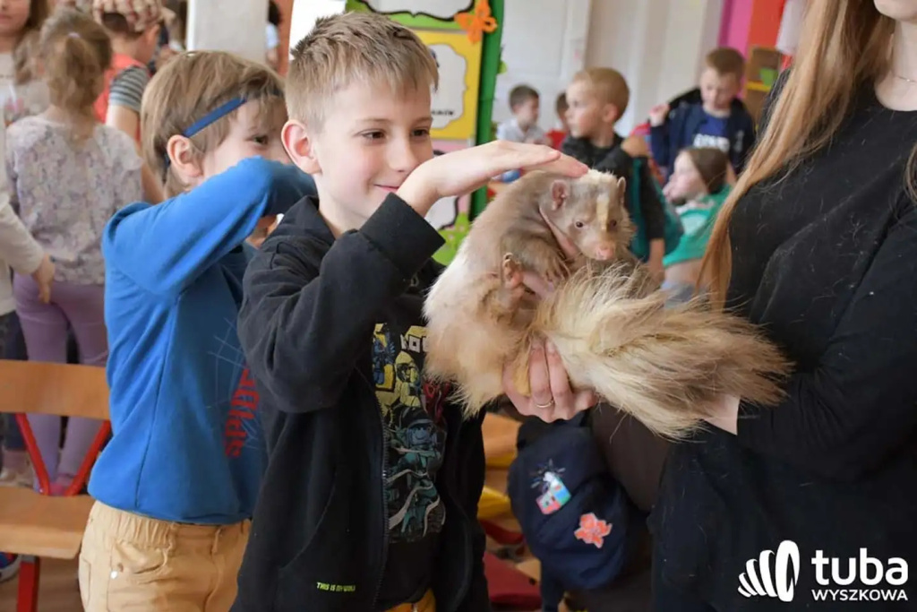 Bliskie spotkanie z dzikimi zwierzętami (VIDEO)