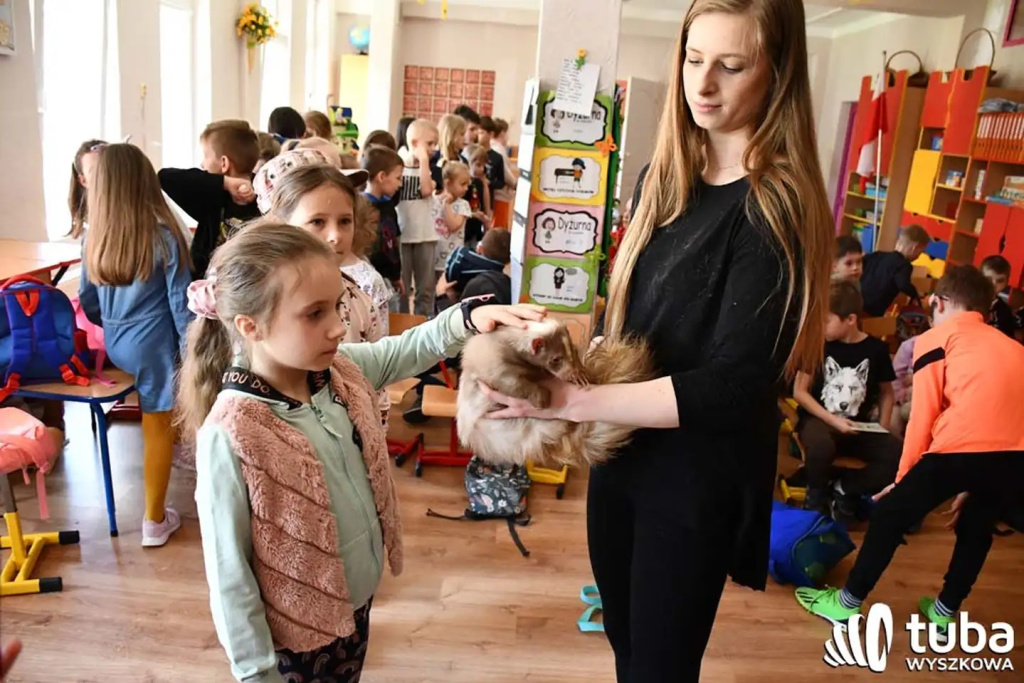 Bliskie spotkanie z dzikimi zwierzętami (VIDEO)