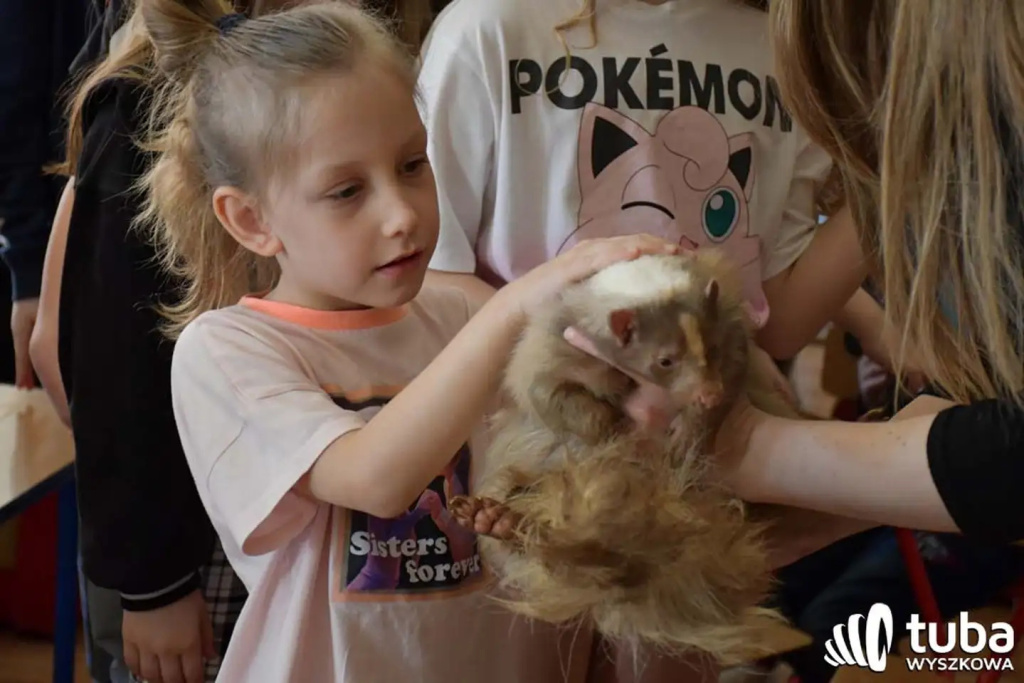 Bliskie spotkanie z dzikimi zwierzętami (VIDEO)