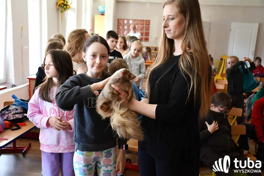Bliskie spotkanie z dzikimi zwierzętami (VIDEO)