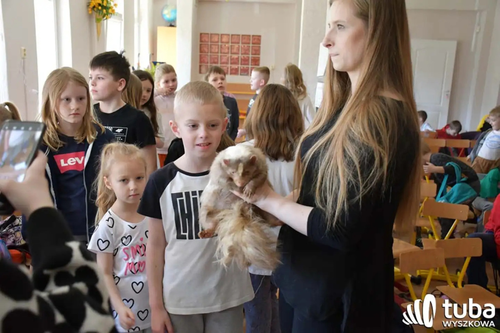 Bliskie spotkanie z dzikimi zwierzętami (VIDEO)