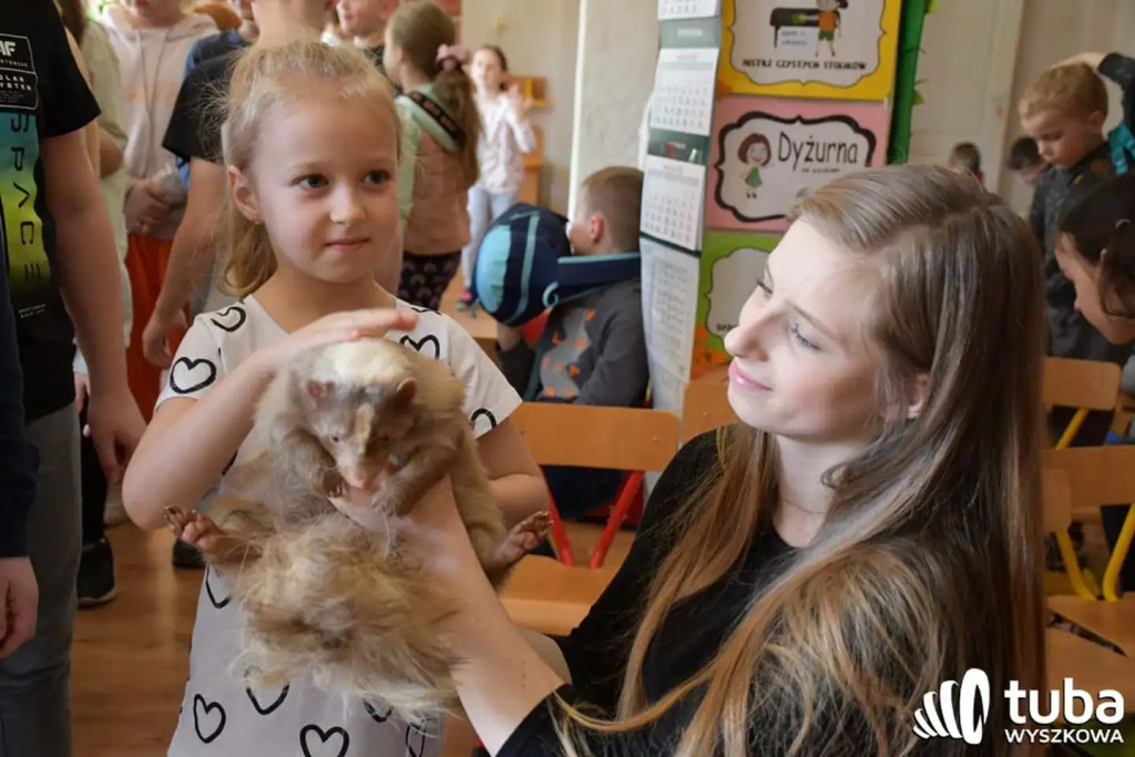 Bliskie spotkanie z dzikimi zwierzętami (VIDEO)