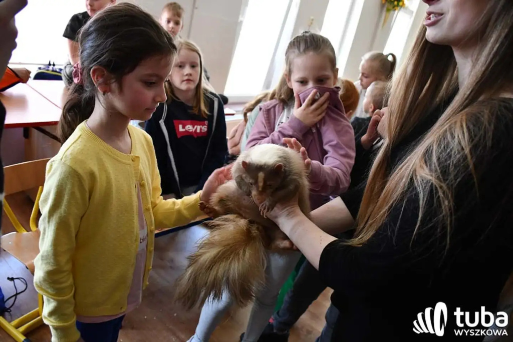 Bliskie spotkanie z dzikimi zwierzętami (VIDEO)