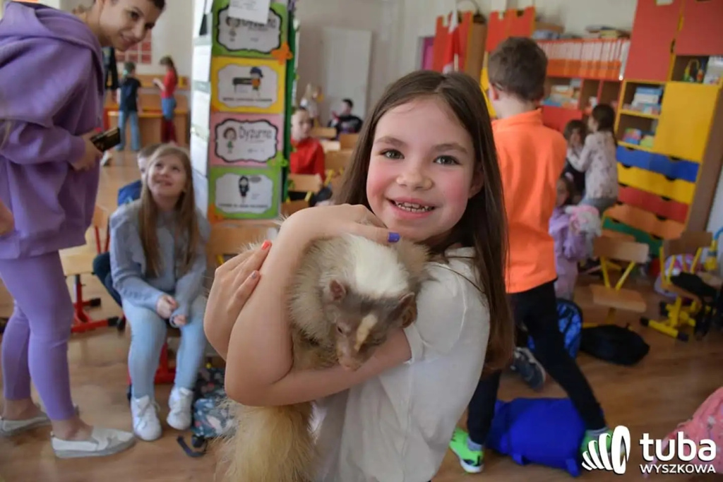 Bliskie spotkanie z dzikimi zwierzętami (VIDEO)