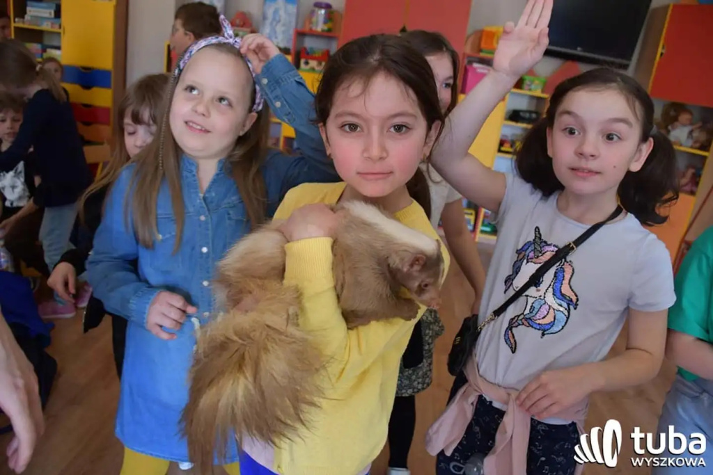 Bliskie spotkanie z dzikimi zwierzętami (VIDEO)