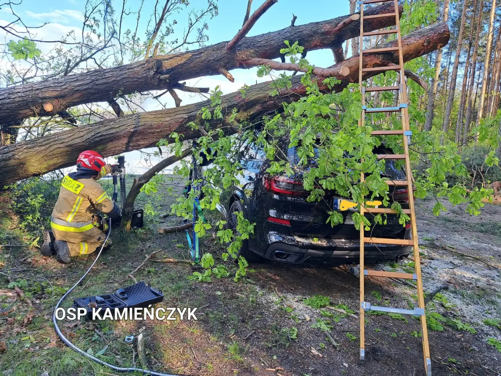 Sosny przewróciły się na auto