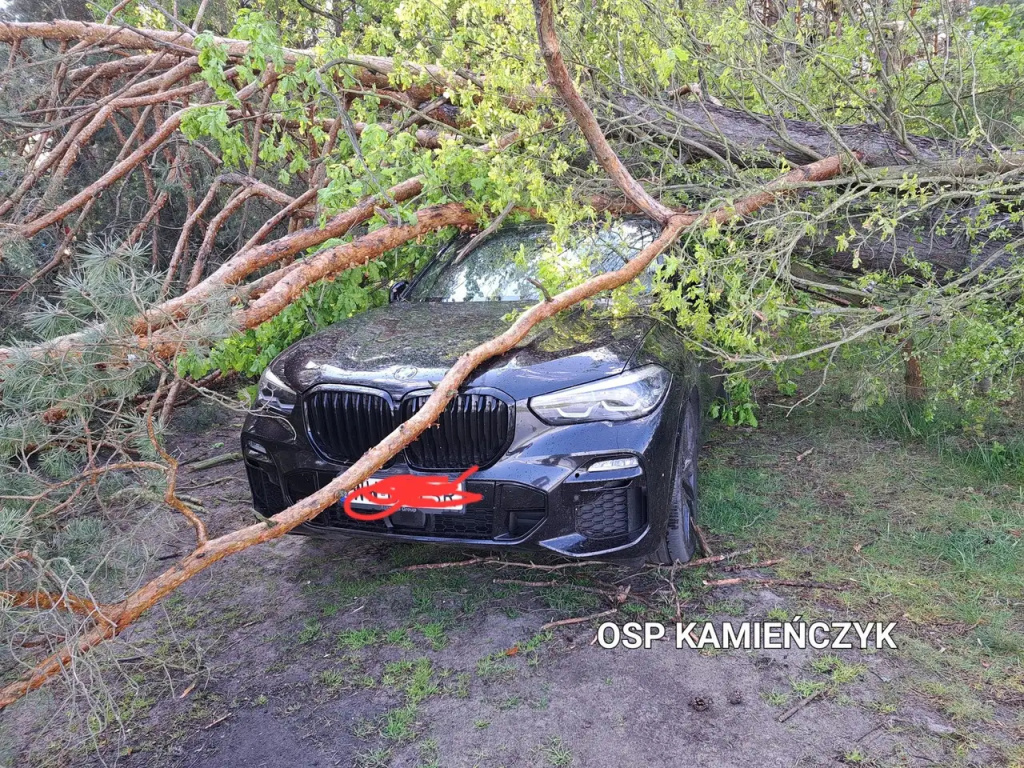Sosny przewróciły się na auto