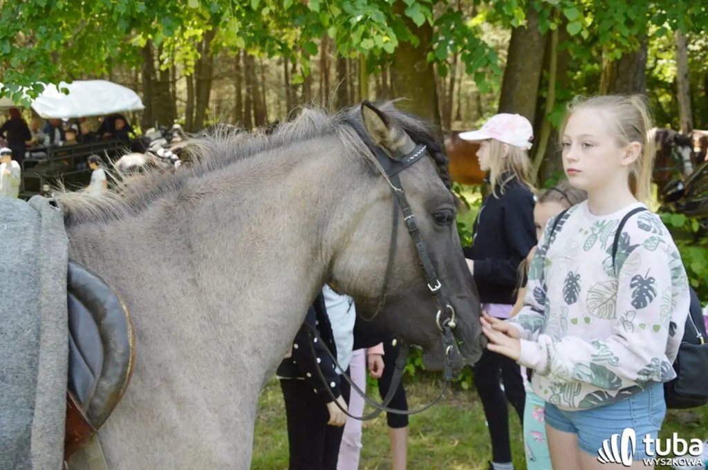 Od 18 lat w Gulczewie promują piękne polskie tradycje jeździeckie (VIDEO)