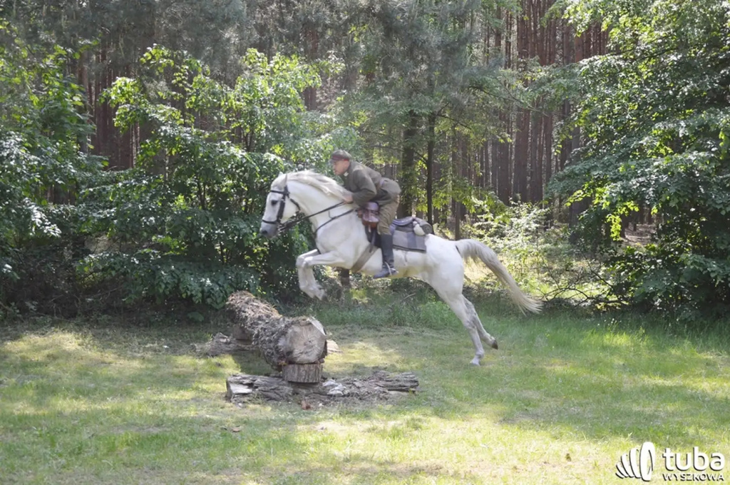 Od 18 lat w Gulczewie promują piękne polskie tradycje jeździeckie (VIDEO)