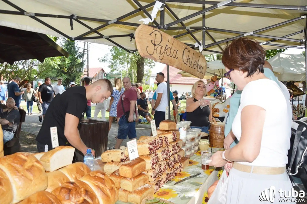 “Takiego festiwalu w tej części Mazowsza nie ma...” (VIDEO)