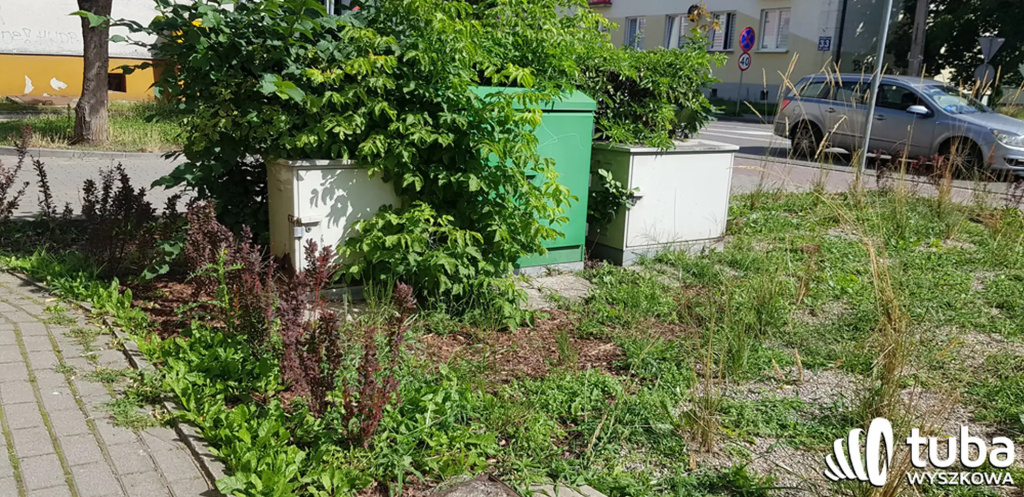 Był sobie park kieszonkowy...