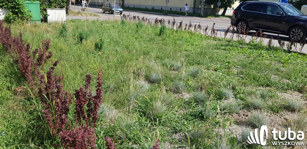 Był sobie park kieszonkowy...