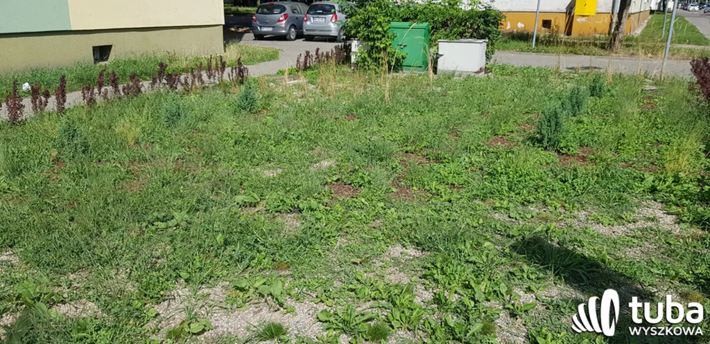 Był sobie park kieszonkowy...