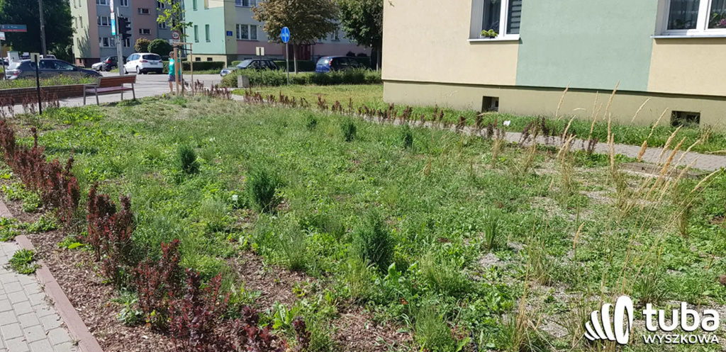 Był sobie park kieszonkowy...