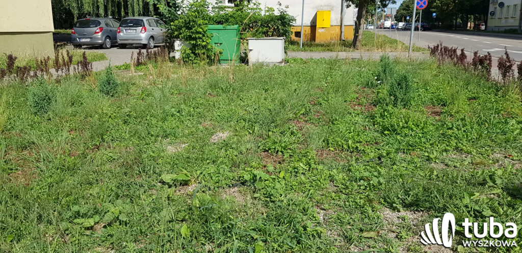 Był sobie park kieszonkowy...