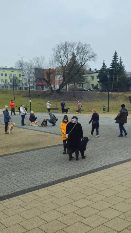 32. Finał WOŚP - tak graliśmy!