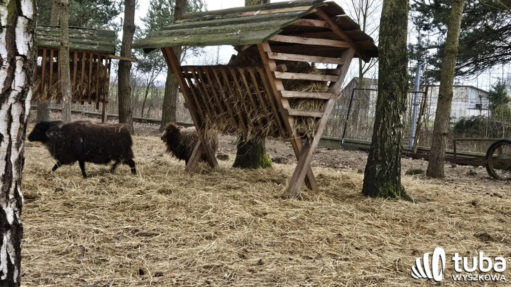 Dzień (i kandydat) otwarty dla mieszkańców