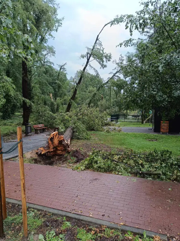 Park zamknięty do odwołania. Trwa usuwanie skutków wichury