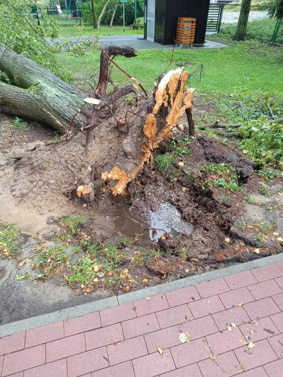 Park zamknięty do odwołania. Trwa usuwanie skutków wichury