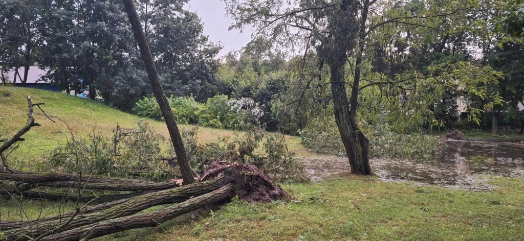 Park zamknięty do odwołania. Trwa usuwanie skutków wichury