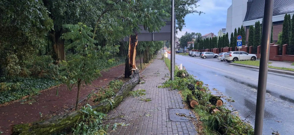 Park zamknięty do odwołania. Trwa usuwanie skutków wichury