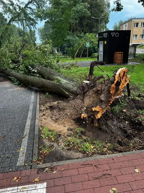 Park zamknięty do odwołania. Trwa usuwanie skutków wichury