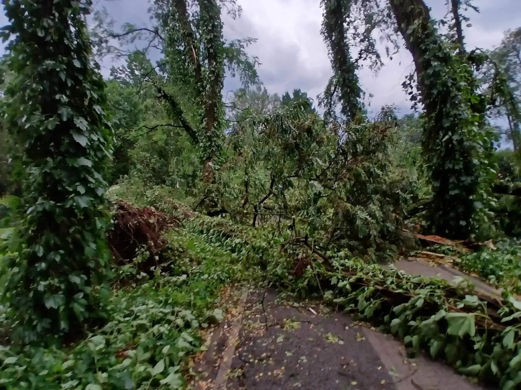 Park zamknięty do odwołania. Trwa usuwanie skutków wichury