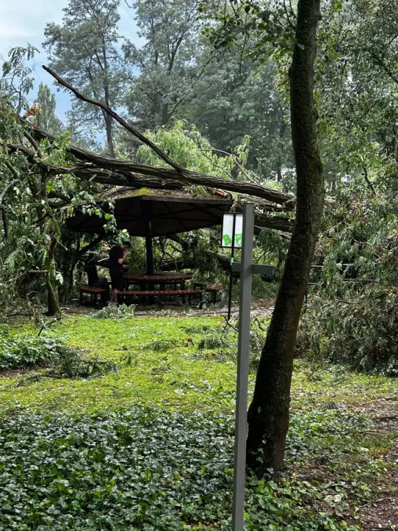 Park zamknięty do odwołania. Trwa usuwanie skutków wichury