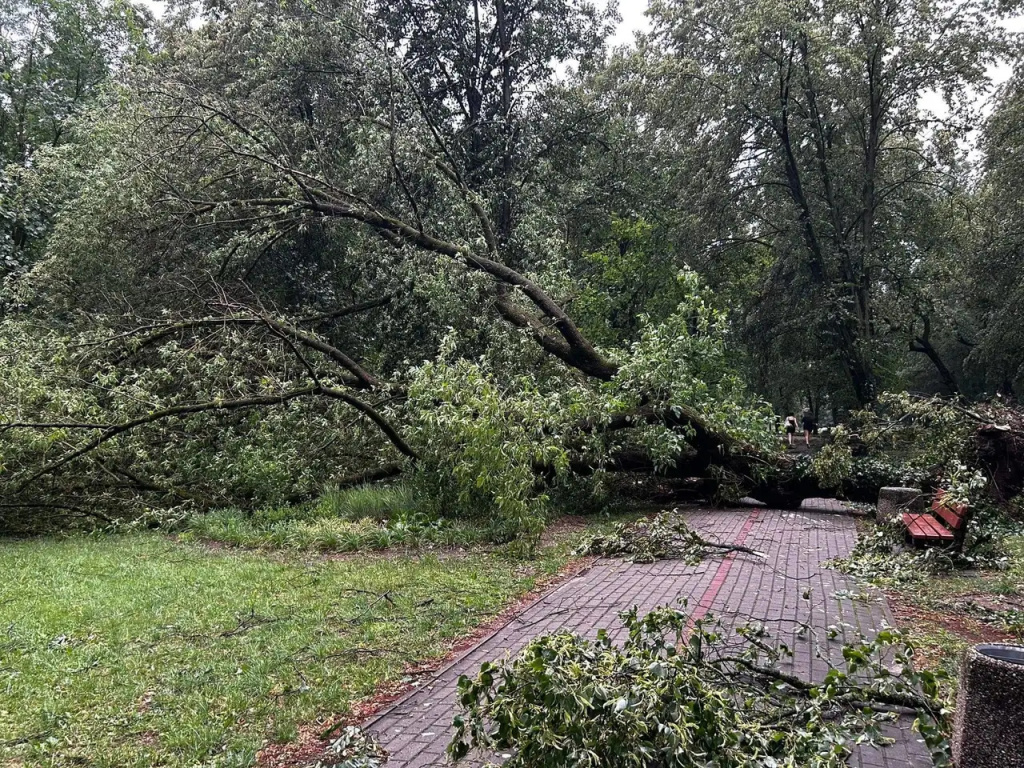 Park zamknięty do odwołania. Trwa usuwanie skutków wichury