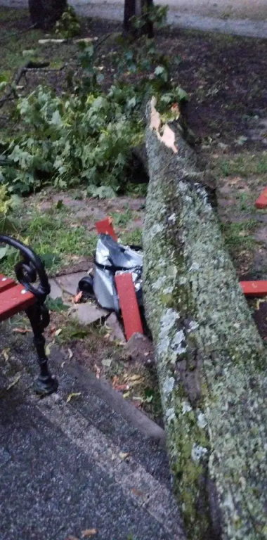 Park zamknięty do odwołania. Trwa usuwanie skutków wichury