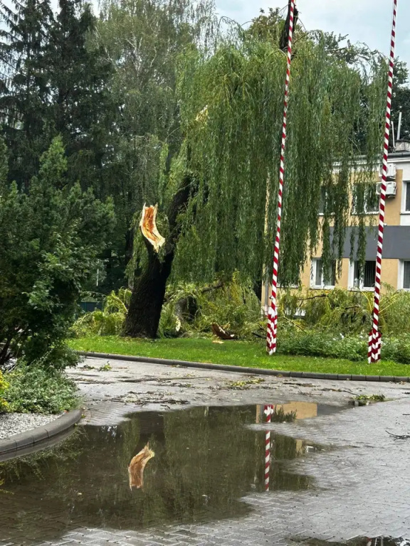 Park zamknięty do odwołania. Trwa usuwanie skutków wichury