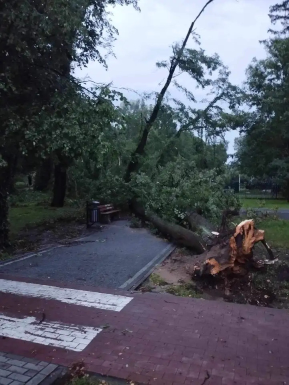 Park zamknięty do odwołania. Trwa usuwanie skutków wichury