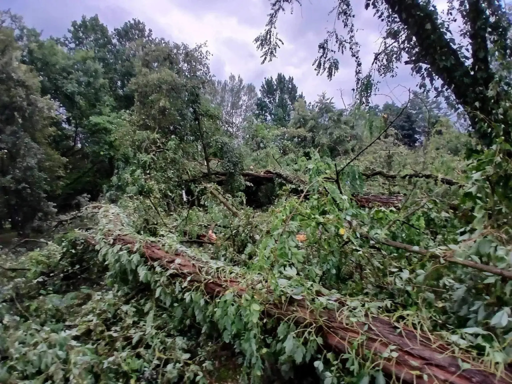 Park zamknięty do odwołania. Trwa usuwanie skutków wichury