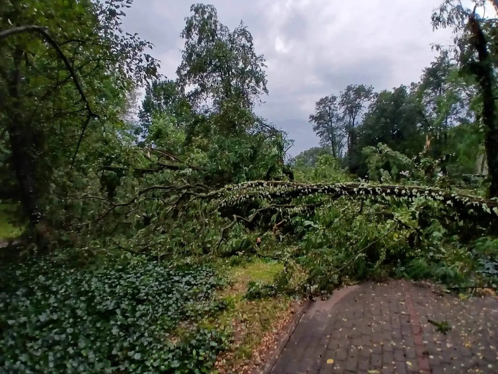 Park zamknięty do odwołania. Trwa usuwanie skutków wichury