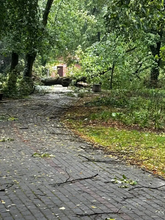 Park zamknięty do odwołania. Trwa usuwanie skutków wichury