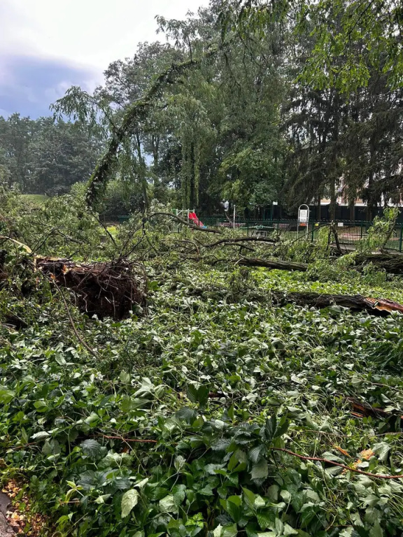 Park zamknięty do odwołania. Trwa usuwanie skutków wichury