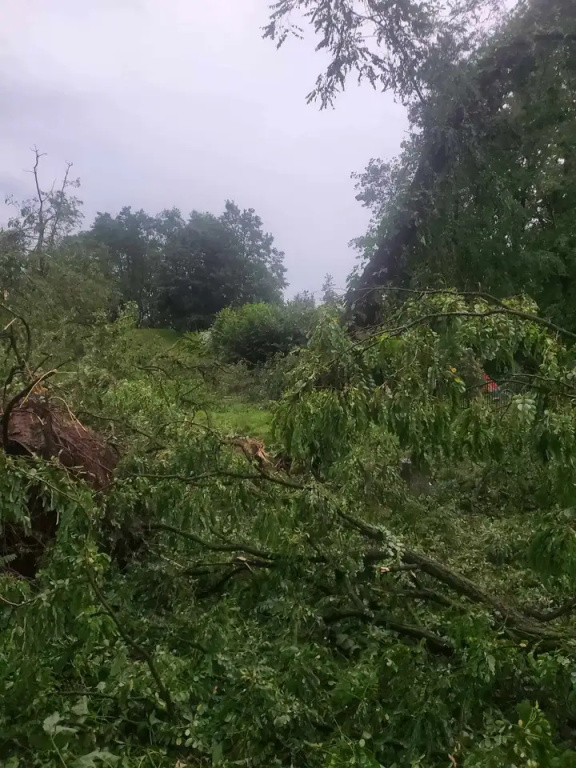 Park zamknięty do odwołania. Trwa usuwanie skutków wichury